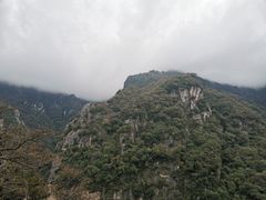-牛背梁国家森林公园