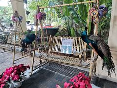 -西双版纳融创皇冠假日度假酒店