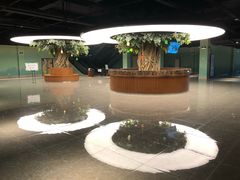 -杭州开元森泊度假乐园