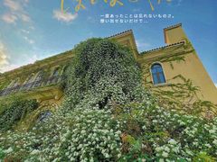 -府河摄影公园