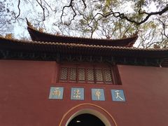 -普陀山风景名胜区-法雨禅寺
