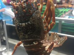 -盒马鲜生(大成店)