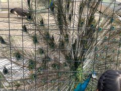 -云漫湖生态度假公园