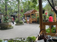 -青城甲(青城山店)