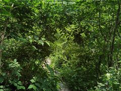 -北京鹫峰国家森林公园