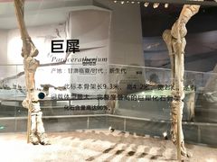 -长江文明馆