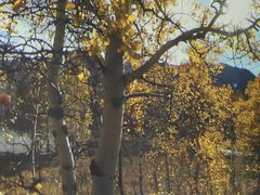 -苏州青少年科技馆