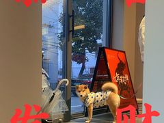 -Punchline Coffee&Roaster(同济大学店)