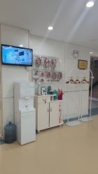 -五洲妇儿医院