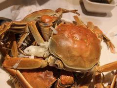 -星伦多自助料理(华润万象城店)