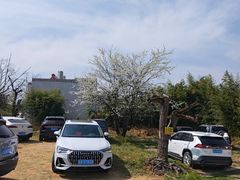 -名花谷生态庄园