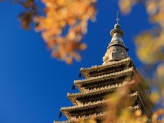 -北京石刻艺术博物馆(五塔寺)