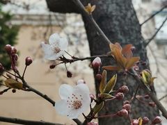 -有位虾匠·香辣蟹·小龙虾(李村店)