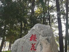 -武汉大学-樱园