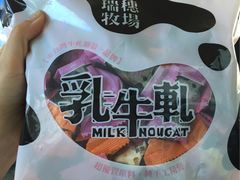 -瑞穗牧场