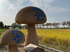 -嘉北郊野公园