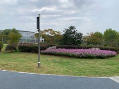 -南京航空航天大学(将军路校区)