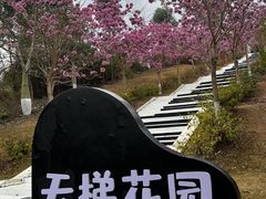 -盈香心动乐园
