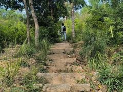 -青龙山国家森林公园