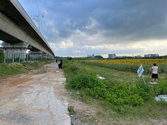 -光明小镇欢乐田园