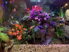 -醉小酒馆·川菜·江湖菜·重庆菜(观音桥旗舰店)