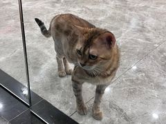 -东方之珠洗浴休闲广场(南开店)