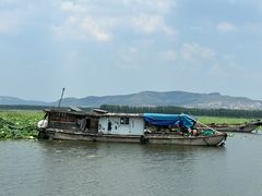 -微山湖红荷湿地景区