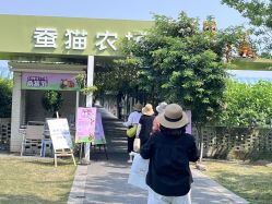 -太湖雪蚕桑文化园