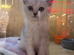 -时尚天河商业广场