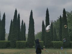 -洛阳市隋唐城遗址植物园