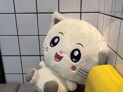 -半岛宠物医院24小时(科华中路店)