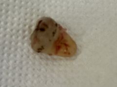 -上海市第十人民医院(总院)