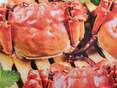 -蟹天蟹地农家菜·阳澄湖大闸蟹(浅水湾店)