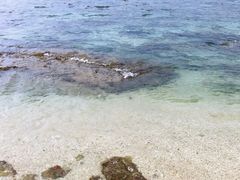 -三亚西岛海洋文化旅游区