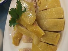 -椿记烧鹅(叠彩店)