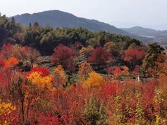 -塔川景区