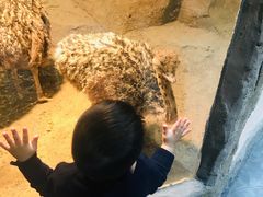 -MR.ZOO小小动物元室内动物园(沈阳沈河盛京中心)