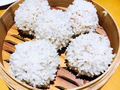 大力丸-风波庄(洪家楼店)