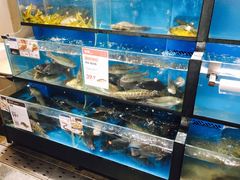水产区-盒马鲜生(曜一城店)