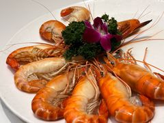 -国惠大酒楼(宝龙店)