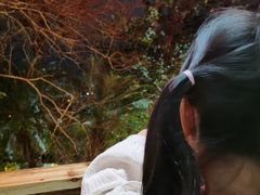 -铁炉农家菜馆