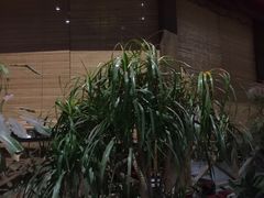 门面-森谷美食公园(杨行店)