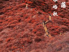 -水峪民俗村