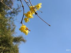 -无锡梅园公园