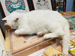 -猫的天空之城概念书店(苏州平江店)