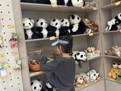-杭州少年儿童公园