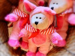 -星巴克(南京狮子桥店)