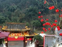 -楠柏弯休闲山庄(梨花溪店)