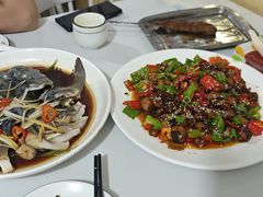 -煲来饱去冷水鱼