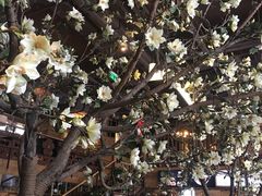 -山有花啡餐厅(常营总店)